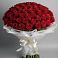 Букет 101 Красная роза Блэк Мэджик в Коркмаскале