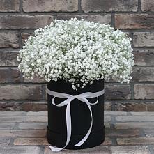 Цветочная композиция из Гипсофила в шляпной коробке в Коркмаскале